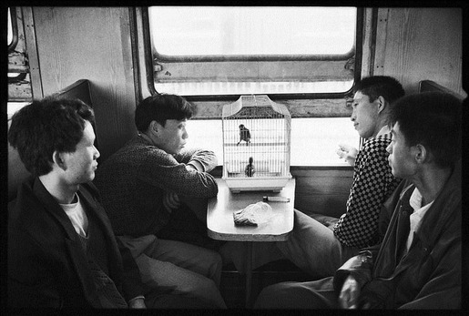 wang-fuchun-02