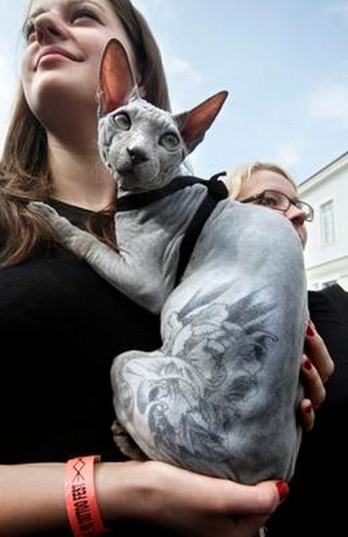 Tattooed-animals-04