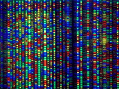 synthetic-dna-xna-created