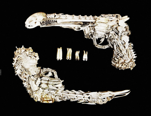 bone4