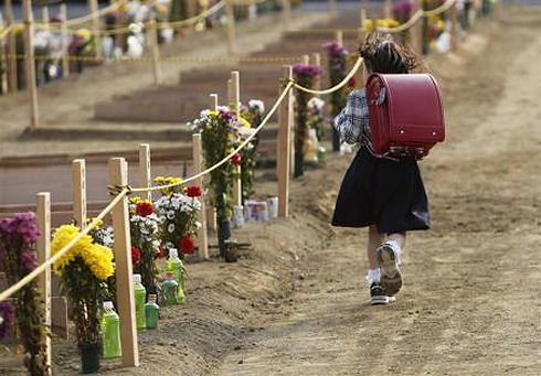 Disaster in Japan 21