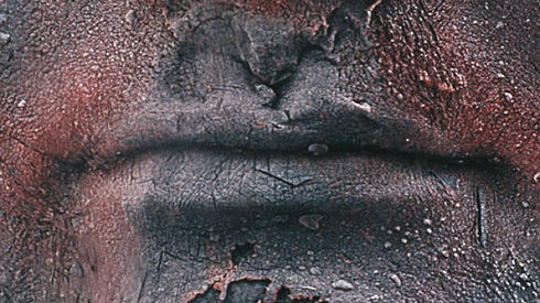 Self-MarcQuinn-mouthdetail