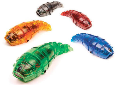 hexbug_larva_1