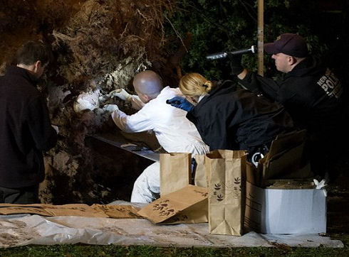 exhume-8608-550x406
