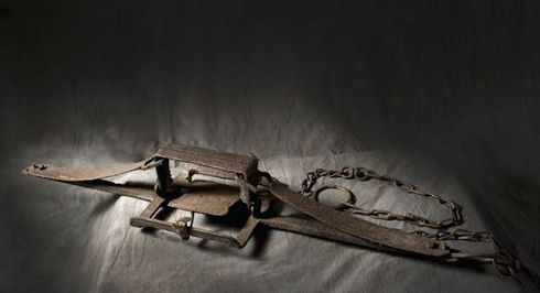 last_french_executioner_32
