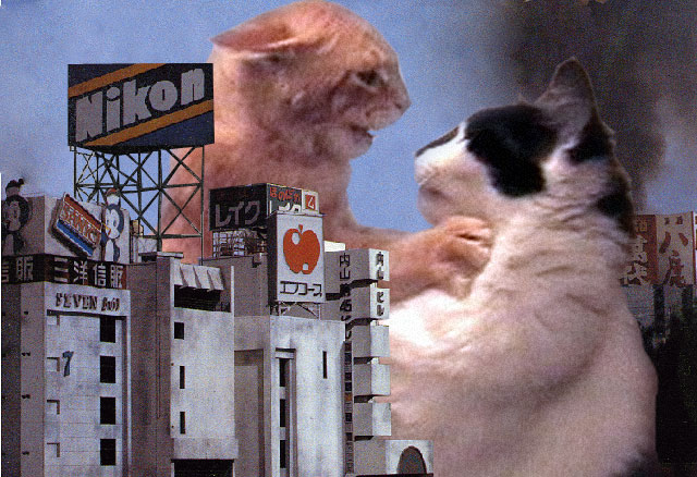 画像 猫が巨大化したら可愛さも巨大化するの Catzilla のおもしろ画像 付録部 Blog Bu