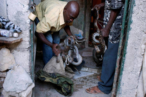 Snakehandler08