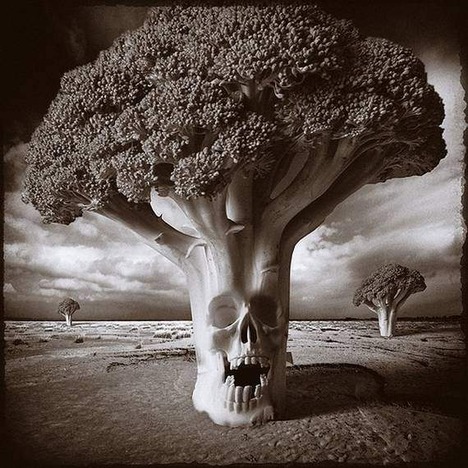psycho-photos93