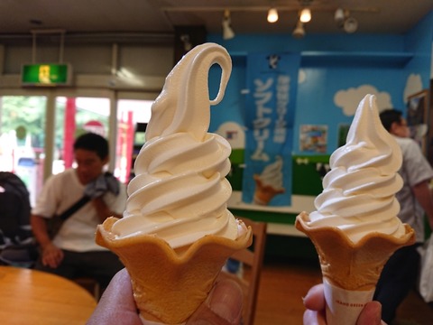 2019.8.10-11 (47)