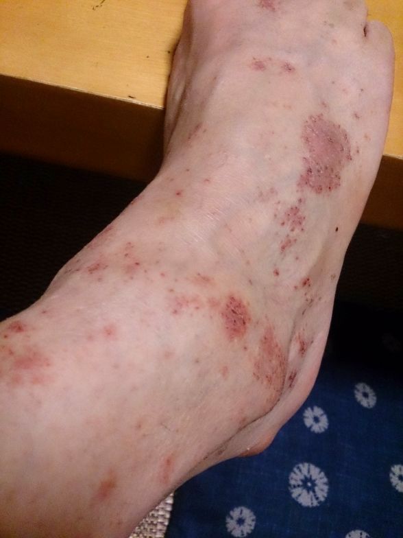 6クール終了中間報告 : Never Say Good-bye