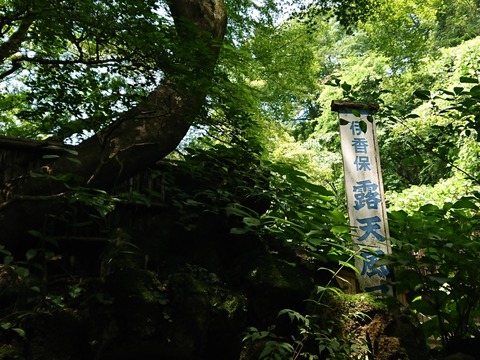 2019.8.10-11 (43)