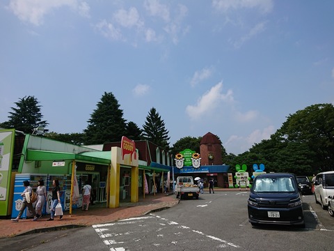 2019.8.10-11 (46)
