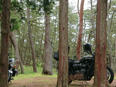 2020.6.27〜28 (6)_R