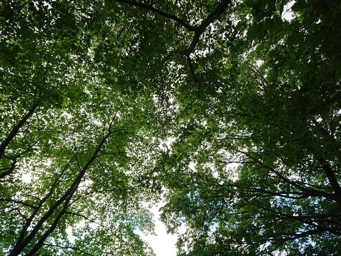 2019.6.8-9 (14)