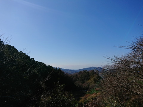 2020.1.19 (1)