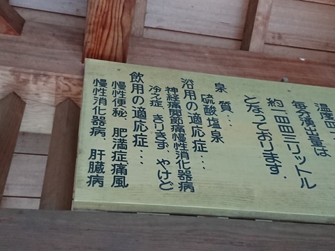 2019.8.10-11 (45)