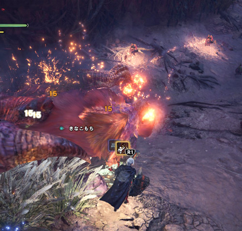 mhw15