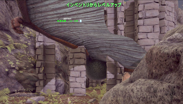 ark19