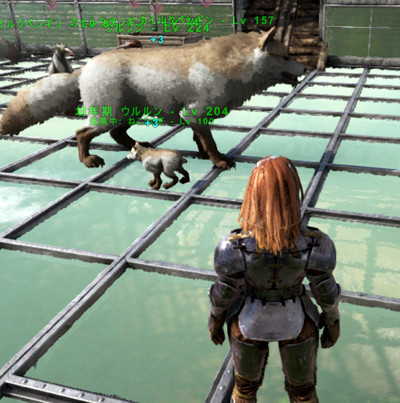 Ark Islandマップを無事クリアしたので布教日記 きゃっとたわー Ark Islandマップを無事クリアしたので布教日記 きゃっとたわー