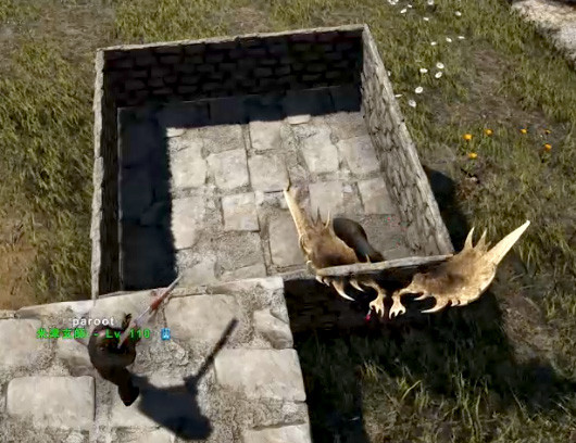 ark17