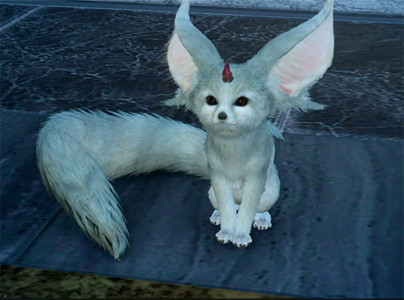 ff15-1