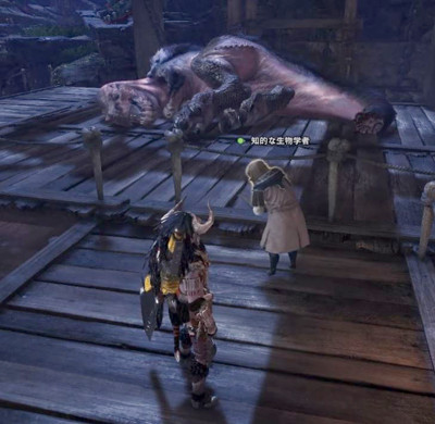 mhw16