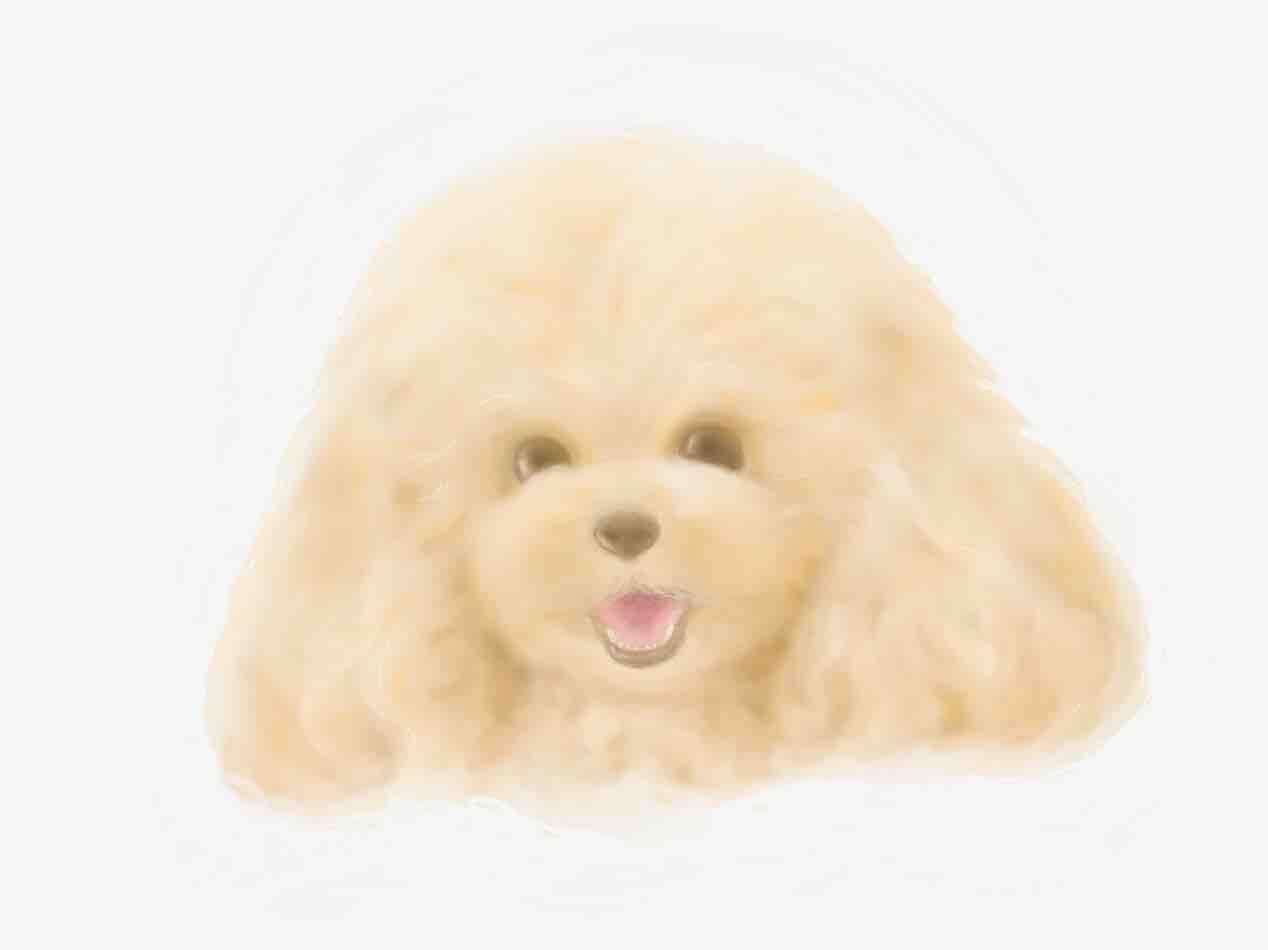 ナイトイルミネーション ってよりライトアップw トイプーｍｉｍｉの英国生活