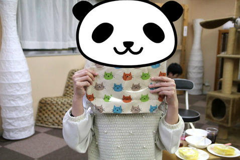 BlogPaint
