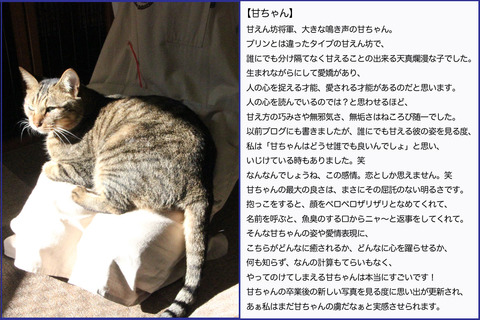 甘ちゃん