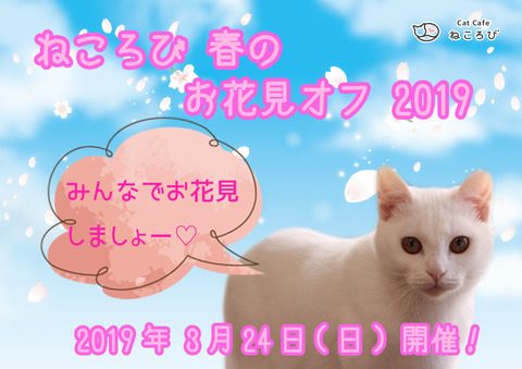 お花見オフ2019