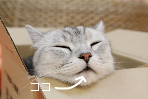 ゆるみどら