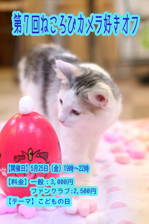 Â裷 ²ó¥«¥á¥é¹¥¤¥ª¥Õ²ñ