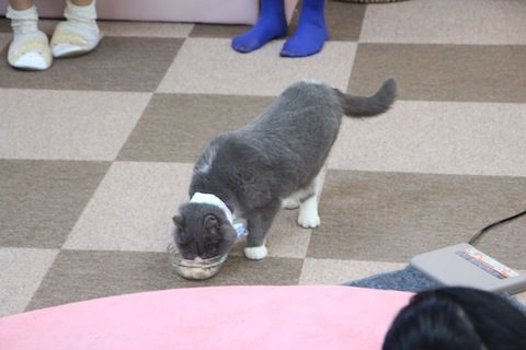 IMG_6718