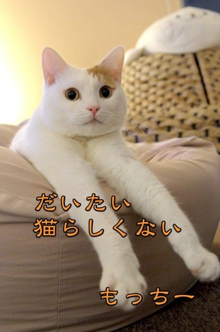 もち