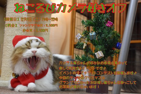 カメラ好きオフ11月3日