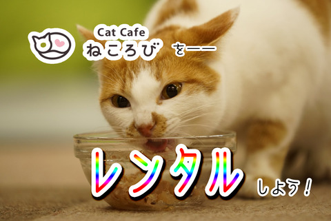 ねころび貸切