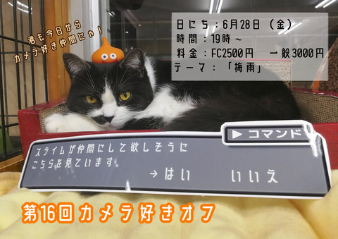 Âè16²ó¥«¥á¥é¹¥¤¥ª¥Õ