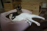 IMG_4454