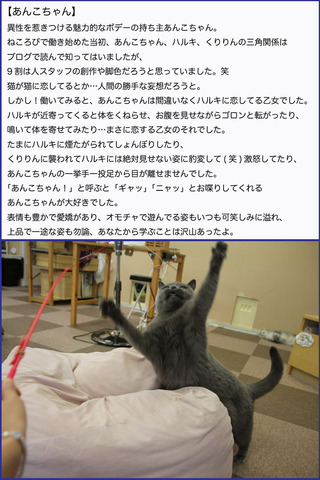 あんこちゃん