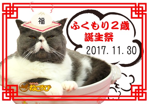 ふくBDブロマイド
