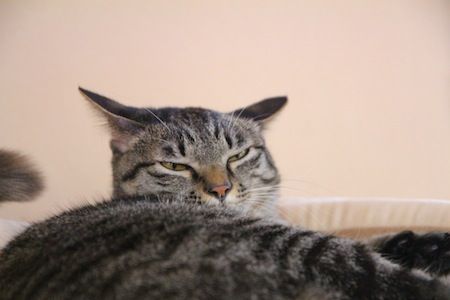 IMG_4946