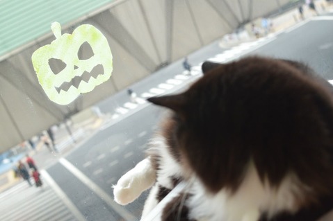 もうすぐハロウィン!