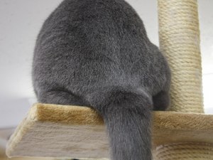 積もり積もった…。