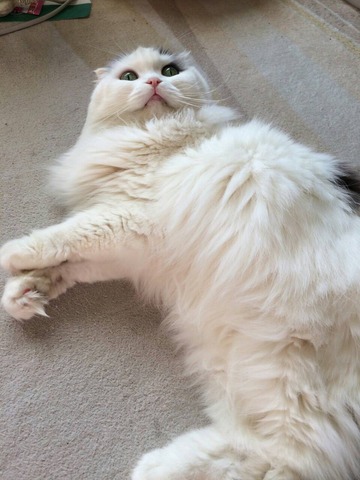 73820