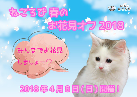 お花見オフ2018