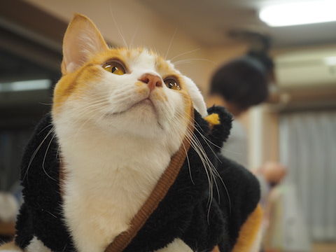 瀧本さん