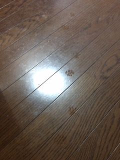 image4(1)