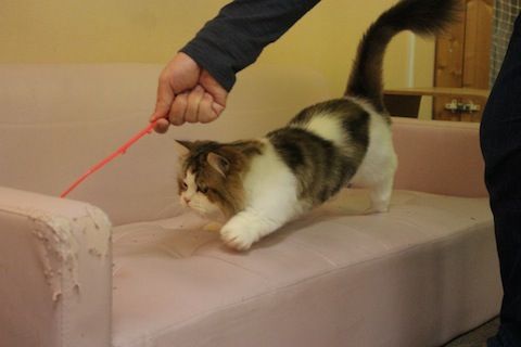 IMG_3503