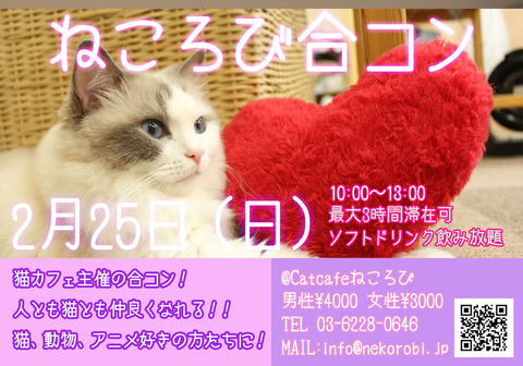 合コンフライヤー午前開催用