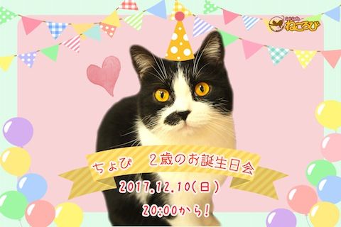 ちょびぽす